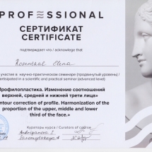 Professional 2 Zertifikat